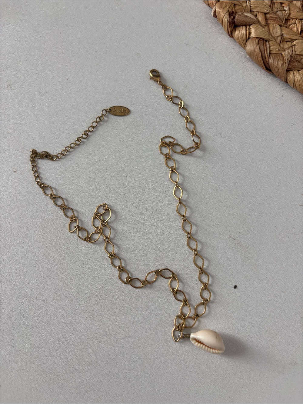 Gold Chain Necklace with Cream Cowrie Shell Pendant
